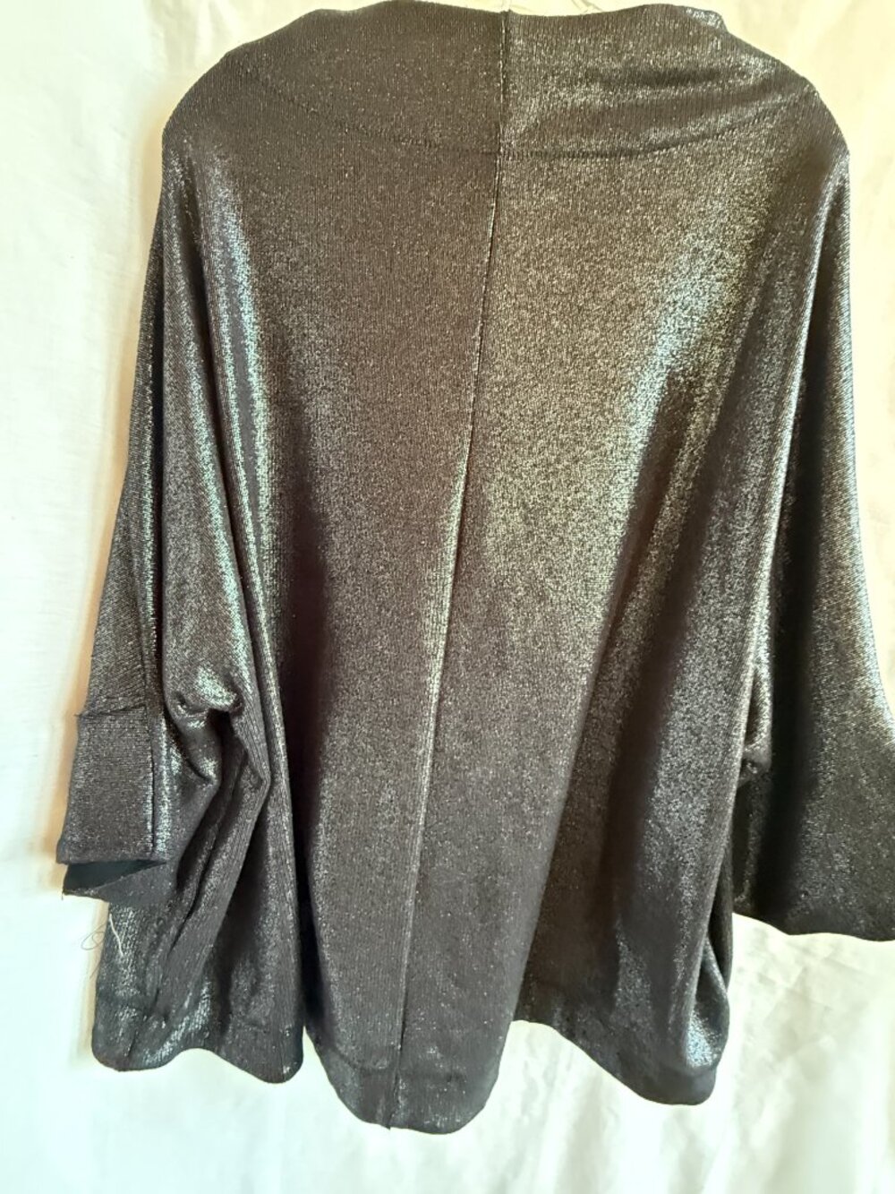 Alembika Roxy Silver Pullover Top - Picture 4 of 5